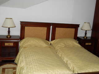 Отель Casa Domneasca Куртя-де-Арджеш Двухместный номер с 2 отдельными кроватями-4